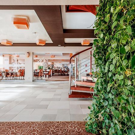 Hotel Amazonka Conference And Spa 切霍齐内克 外观 照片